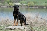 BEAUCERON 628